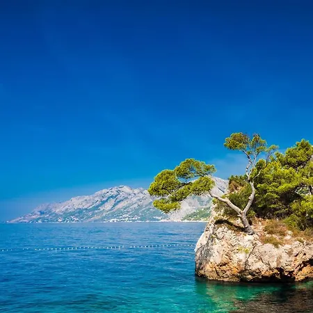 Berulia Σπίτι διακοπών